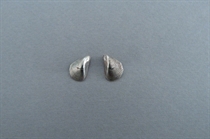 Picture of shells earrings