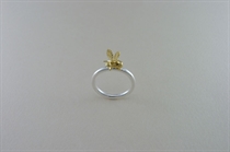 Picture of Flying insect on a ring.