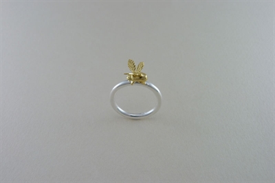 Picture of Flying insect on a ring.